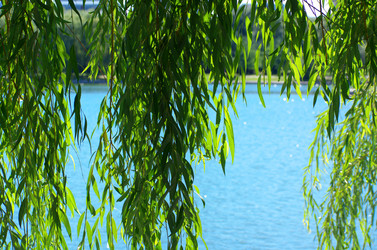 Similar image 21097089