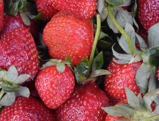 Similar image 21097299