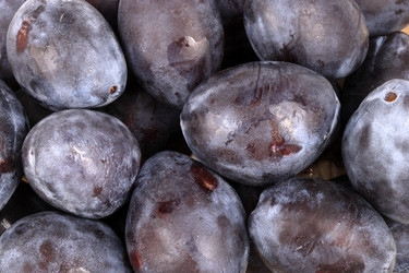 Similar image 21097565