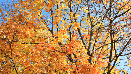 Similar image 21095801