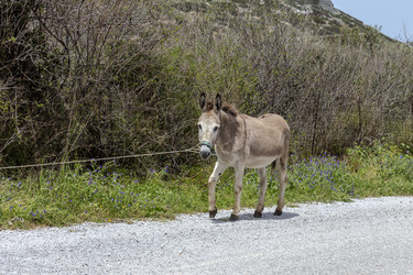 Similar image 21081427