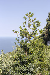 Similar image 21094665