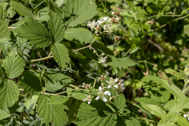 Similar image 21087515