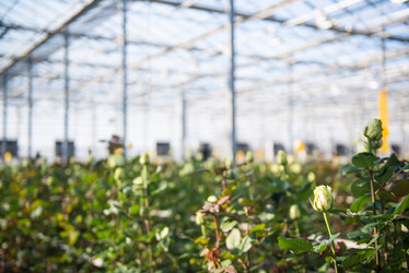 Similar image 21093676