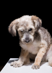 Similar image 21095298