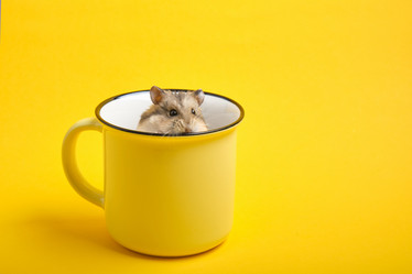 Similar image 21096064