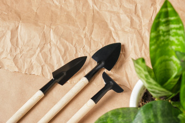 Similar image 21097641