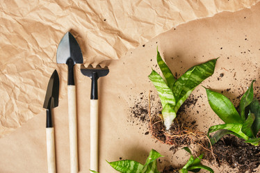 Similar image 21097642