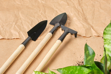 Similar image 21097644