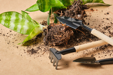 Similar image 21097645