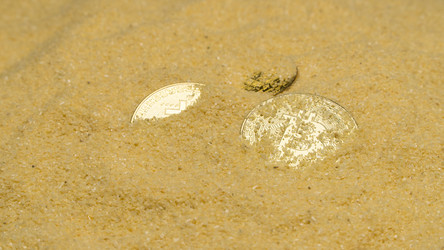 Similar image 21082529