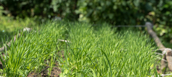 Similar image 21085114