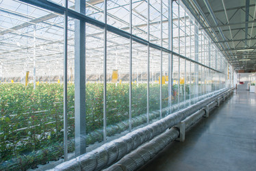 Similar image 21093707