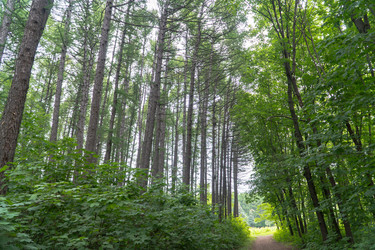 Similar image 21095245