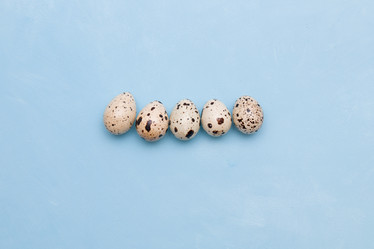 Similar image 21098162