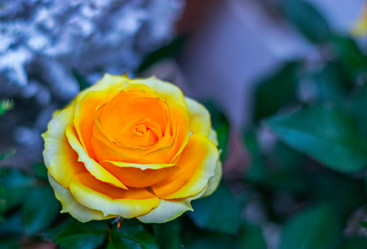 Similar image 21121095