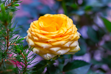 Similar image 21121096