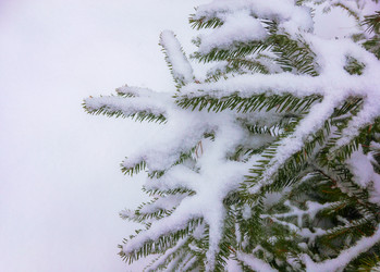 Similar image 21121102