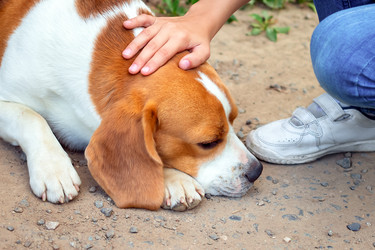 Similar image 21083927