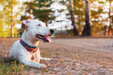 Similar image 21083928