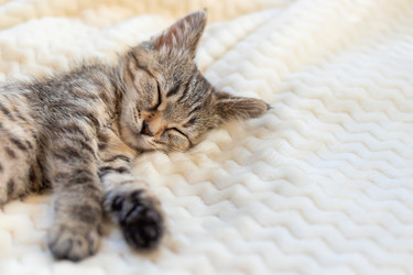 Similar image 21083929