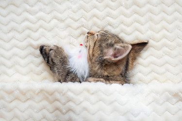 Similar image 21083930