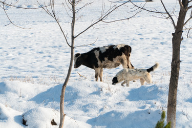 Similar image 21095435