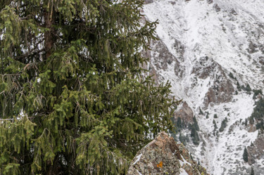 Similar image 21095452