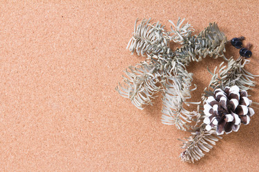 Similar image 21097902