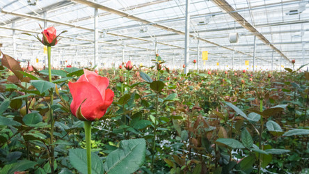 Similar image 21082552