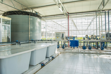 Similar image 21082554