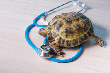 Similar image 21097661