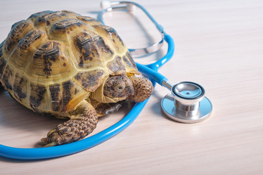 Similar image 21097915