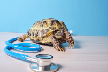 Similar image 21097916