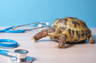 Similar image 21097917