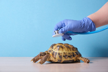 Similar image 21097922