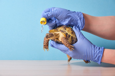 Similar image 21097929