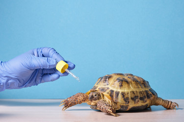 Similar image 21097930