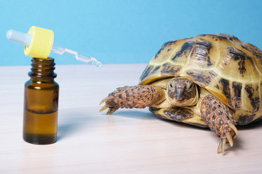 Similar image 21097931