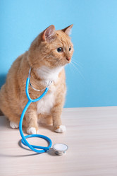 Similar image 21097932