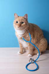 Similar image 21097933