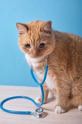 Similar image 21097934