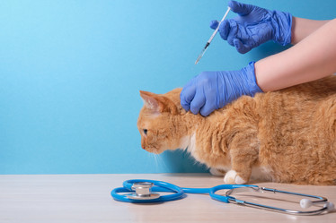 Similar image 21097941