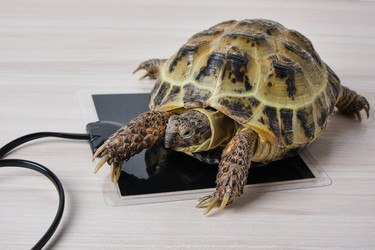 Similar image 21097943