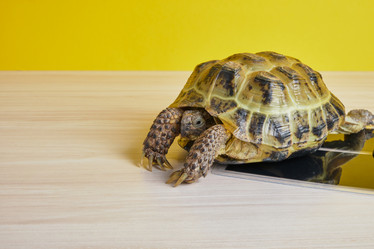 Similar image 21097944