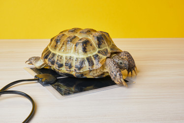 Similar image 21098177