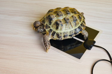 Similar image 21098178