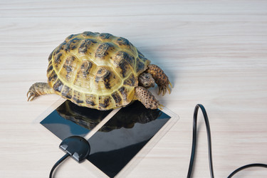 Similar image 21098181