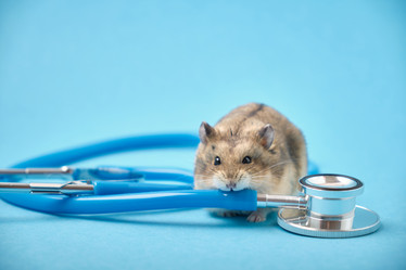 Similar image 21098182