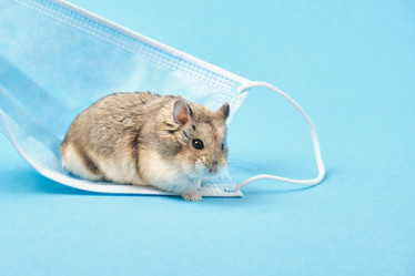 Similar image 21098185